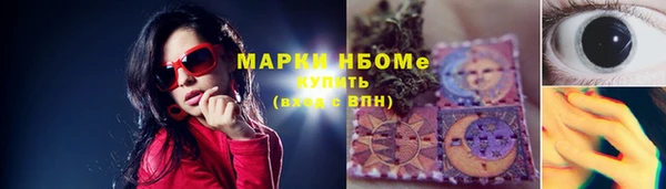 стаф Липки