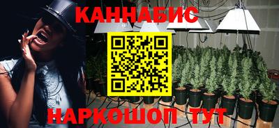 a pvp Свободный