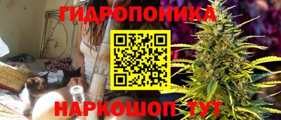 a pvp Свободный