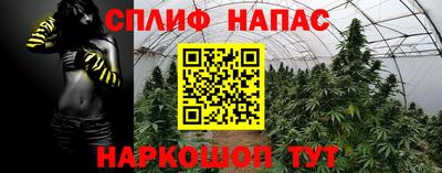 СК Северобайкальск
